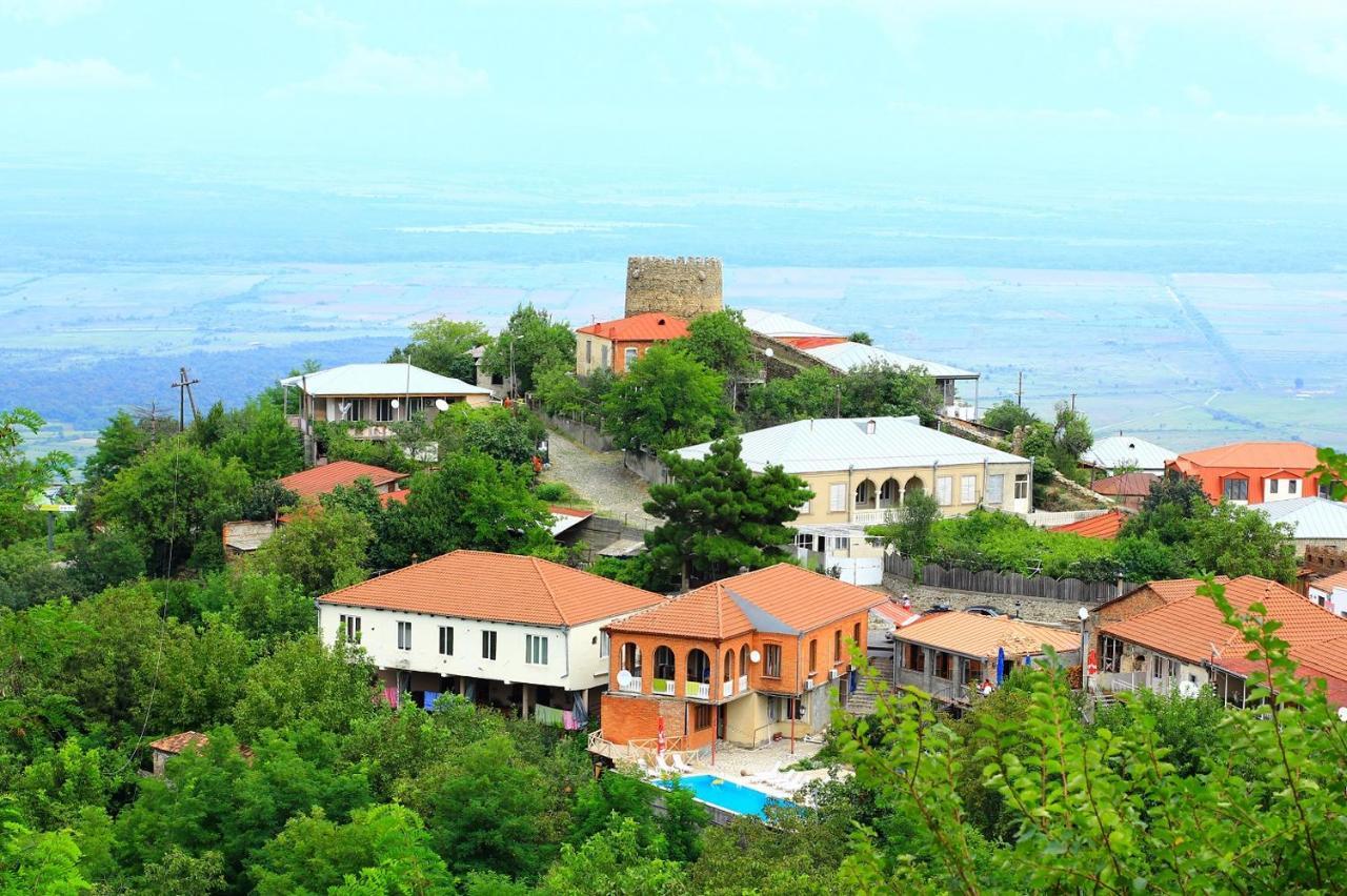 Guest House Pirosmani 60 Sighnaghi Exterior photo